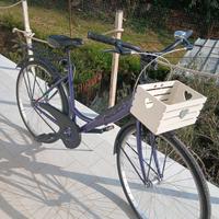 bicicletta da passeggio da 26