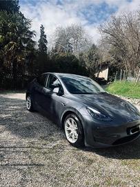TESLA Model Y - 2023