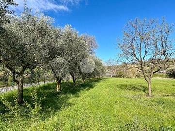 TER. AGRICOLO A BARDOLINO