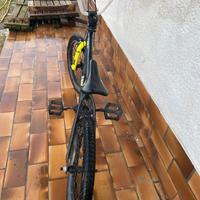 Bicicletta BMX ragazzo.