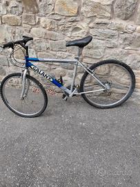 Mtb Galant