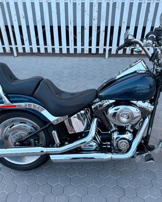 Harley davidson softail