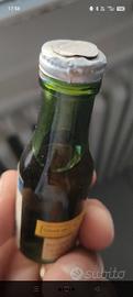 pastis 51
