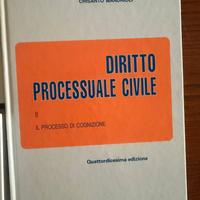 Diritto Processuale Civile – C. Mandrioli – 3 Volu