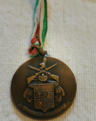 medaglia militare del 53mo Regg. fanteria. d, arre