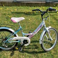 Bici bambina da 20 pollici della Zarma