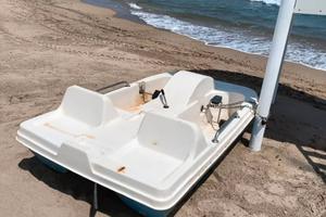 Pedalo 2 Posti