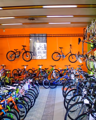 Ritiro mtb Mountain bike usate o guaste