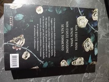 Libro Better collisione di Carrie Leighton