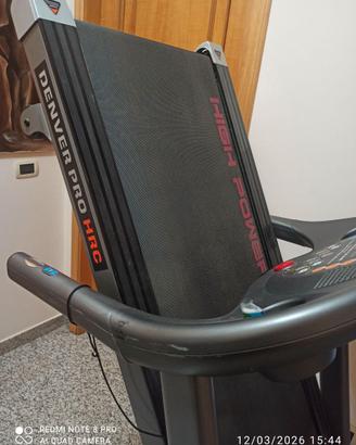 Tapirulan professionale