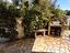 Immagine 27