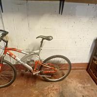 Mountain bike