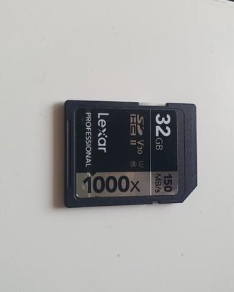 scheda sd lexar professional 32gb 