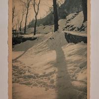 vecchia cartolina "Buon Anno" 1950