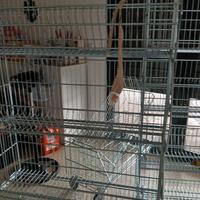 vorrei vendere cassa computer 