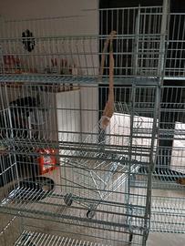 vorrei vendere cassa computer 