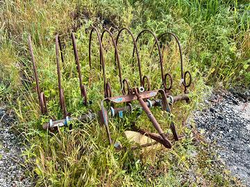 Raccogli legna sermenti