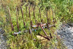 Raccogli legna sermenti