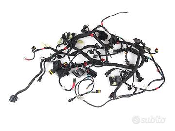 Impianto Elettrico con ABS DUCATI Monster 821
