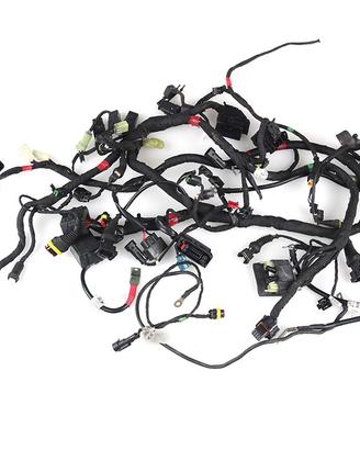 Impianto Elettrico con ABS DUCATI Monster 821