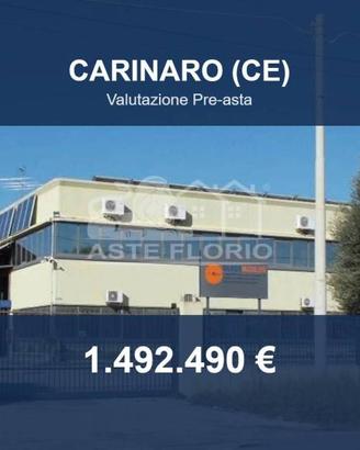 Immobile in asta di 2659 m² a Carinaro