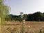 Immagine 13