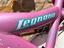 Immagine 6