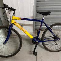 Bici mountain bike freestyle