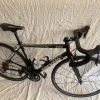 Bici cervelo r5 in carbonio