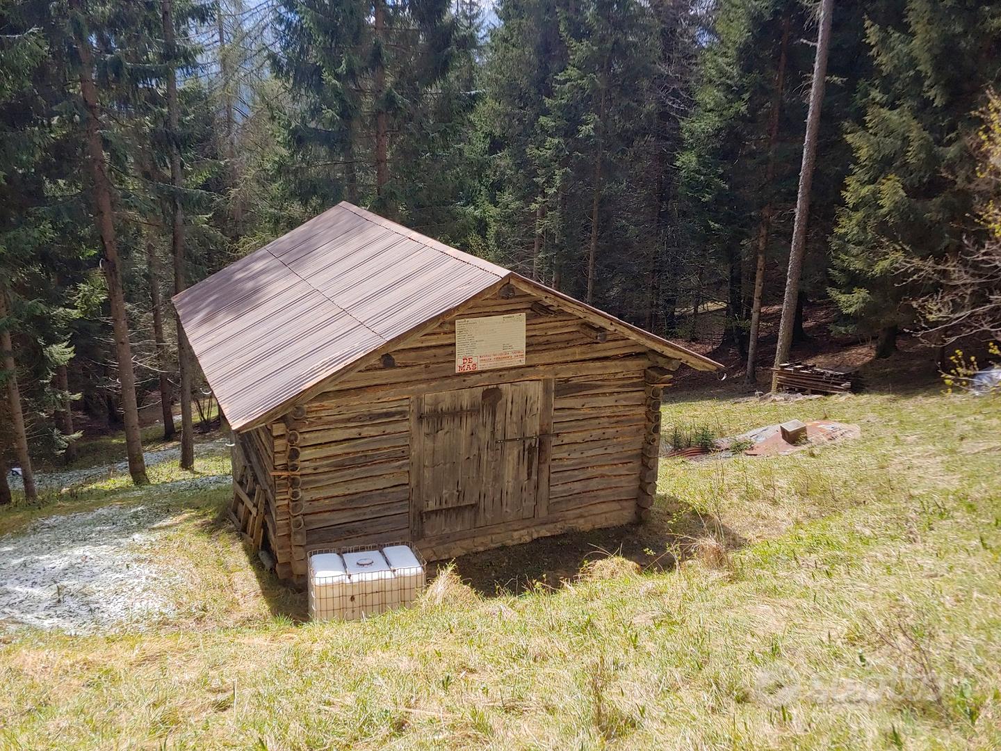 Rustico Fienile Baita Cadore Dolomiti bosco - Vista 2