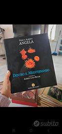 Dentro il Mediterraneo - Piero e Alberto Angela