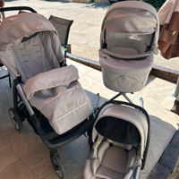 Trio inglesina aptica  (2019)