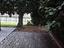 Immagine 27