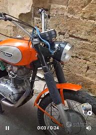 ducati
