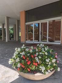 Olimpiadi- quadrilocale 142 mq- milano-