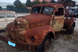 DODGE CANCELLATO D'UFFICIO (VISURA) tel 3395727360