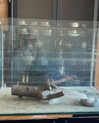 Acquario 320 litri