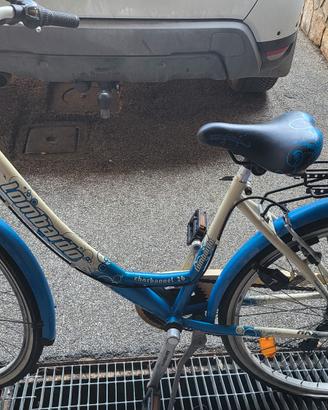bici da passeggio