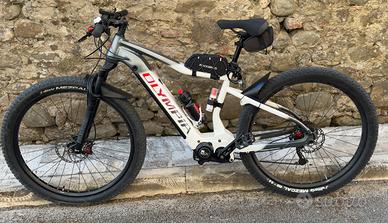 E-Bike Olympia performer 900 sport