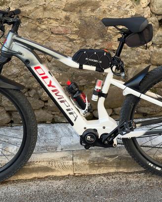 E-Bike Olympia performer 900 sport