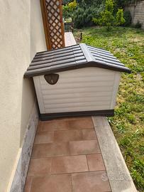 cuccia per cani