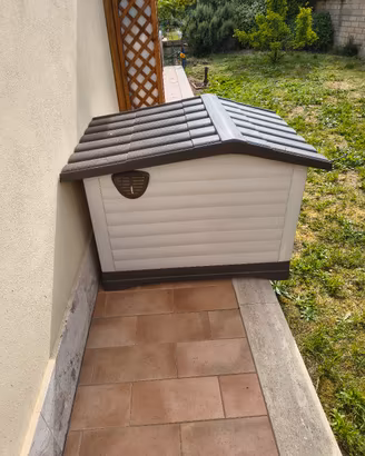 cuccia per cani