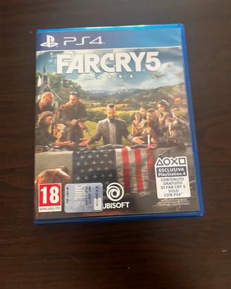 Videogioco