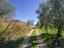 Immagine 22