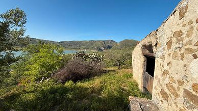 Casale con terreno verde Agricolo