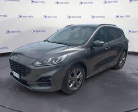 Ford Kuga 1.5 EcoBlue 120 CV ST-Line