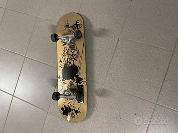 Skateboard
