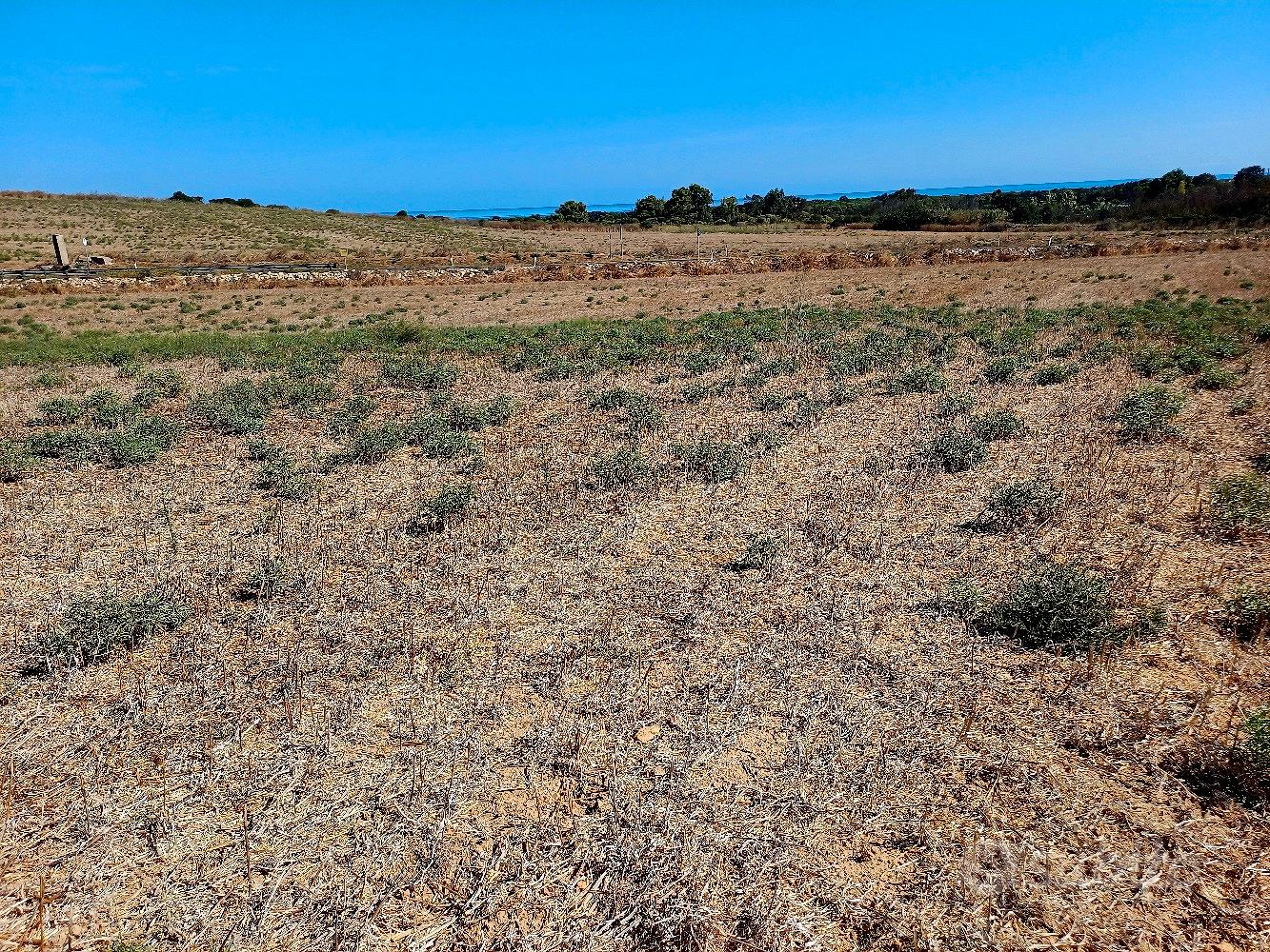 Terreno agricolo - Vista 5