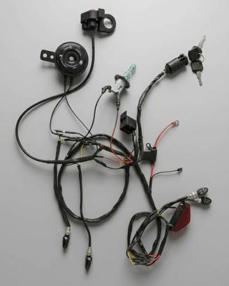 Impianto elettrico semplificato moto