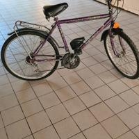 Bici MTB TG 26 UOMO 